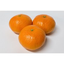 고당도 산지직송 제철 제주 레드향 명절세트 3kg 5kg 10kg, 선물용 박스포함10kg(30~50수)