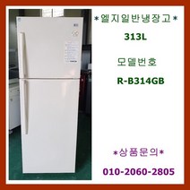 엘지일반형냉장고313L