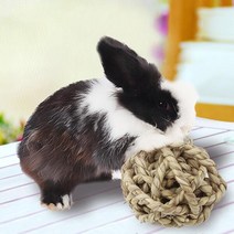 New Arrival Hamter Chew Toy all Pet Chewing Toy Natural traw Ball Rabbit Ront Teeth Caning, 01 as pitcure
