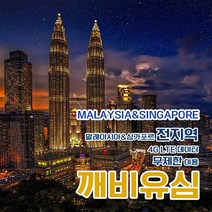 깨비유심 코타키나발루 말레이시아 전지역 4G LTE 데이터 8일 이용 유심 출국전 불량 유심 확인 가능 (4362497), 김해 공항 수령