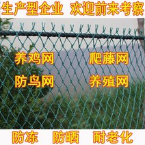 참새 새그물망 새망 방조망 그물망 블루베리 오이, 3cm면 메쉬 12가닥