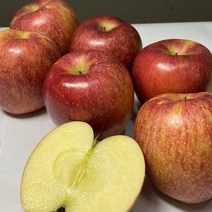예산 엔비 사과 고당도 가정용 사과 선물세트 2.5kg 5kg 10kg, 비세척사과 5kg중과(17-18과)