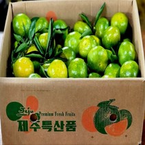 탐라인 산지직송 제주 조생 유라조생 극조생감귤 로얄소과 5kg내외, 1box, 5kg