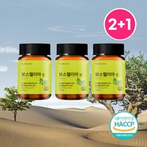 2+1온더헬시 프리미엄 인도산 보스웰리아 60정x3 6개월분, 온더헬시 보스웰리아 60정x3 6개월분