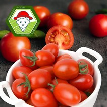 부여 굿뜨래 대추방울토마토 2kg 1~3번과 / mini tomato, 1박스, 2kg(1~3번과)