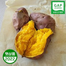 호박고구마 5kg 10kg 당진 꿀고구마 안노베니 아침식사대용, 1box, 대 5kg