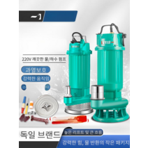 220V 자동 수중 펌프 우수 배수로 양수기 배수용, 750W 2인치  5미터 라인  5미터 관