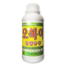 친환경마켓 오복이1L - 수용성 유황 규산 비료 식물영양제 모두싹 유황규산 비료 병해충예방제, 1000ml, 1개