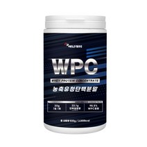 에너데이 농축유청단백질(WPC)+전용스푼500g, 1개