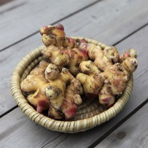 튼실한 전북 완주 봉동 햇 생강 흙 세척, 흙생강, 1kg