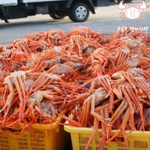 [구룡포 집게사장] 구룡포 연지홍게 3kg 자숙 박달 홍게, 육수용3kg(10미/수율50%~60%내외 라면용), 1개