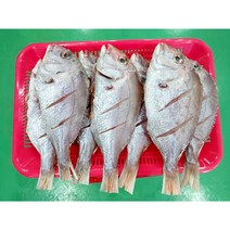 국내산 반건조 목포 생선 (참돔 참가자미 참농어), 01. 반건조 목포 참가자미 6미
