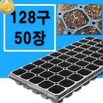 육묘트레이 128구 50장 모종 육묘 포트 트레이 화분