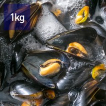 국내산 남해안 다듬이 활홍합 1kg, 수산