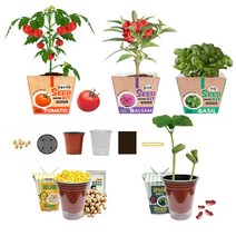 반려 식물 키우기 체험 키트 세트 취미 방과후 수업 그로우키트, 방울 토마토 키우기