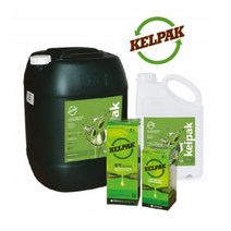 해조추출물 켈팍 남아프리카 노도섬 아미노산 영양제 + GG4000, 200ml