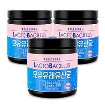 퓨어영 모유유래 유산균 160g 모유유산균 프로바이오틱스, 3통