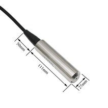 4-20mA 액체 레벨 센서 1m 영어 수심 송신기 24VDC 전원 공급 장치, 한개옵션1, 06 0-6m with 6m cable