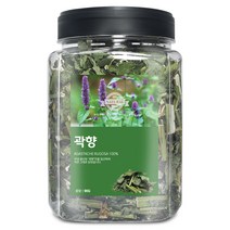 곽향(국산) 90g(통) 배초향 방아잎 건강 한방 약재 차, 곽향[국산] 90g[통]
