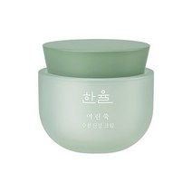 한율 어린쑥 수분진정 크림 65ml, 1개