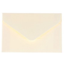 클래식 화이트 블랙 크래프트 빈 미니 종이 창 봉투 결혼식 초대장 선물 20 개, 베이지