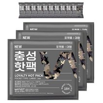 NEW 충성핫팩 포켓용 대형 150g 5개입, 24개