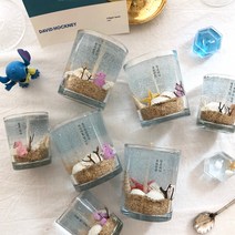 [DIY] 바다캔들 만들기 diy키트, 블랙베리&베이, 스텐비커