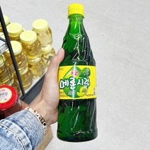 오뚜기 메론시럽 1kg x 2개, 단품, 단품