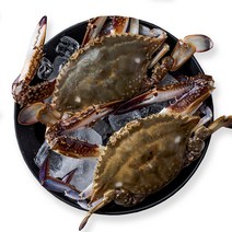 국내산 연평도 암꽃게 손질 절단 급냉 꽃게 숫꽃게 냉동꽃게 제철꽃게 1kg 2kg 3kg (4~15미), 3.연평도 급냉 숫꽃게 2kg(8~10미), 2kg(8~10미)