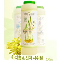 [가격준수]이태리 카다몸 진저샤워젤250ml 이태리직수입 바디클렌져 바디클렌저 바디워시 천연비누 목욕용품 샤워젤, 이태리 카다몸 & 진저샤워젤, 250ml