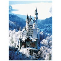 애드원 눈 덮힌 고성 500조각 직소퍼즐, 1개, 500피스