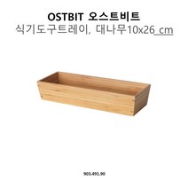 이케아 오스트비트 식기도구트레이 10x26cm