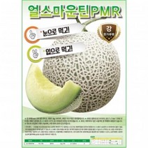아시아종묘 멜론씨앗종자 얼스마운틴피엠알(10립)