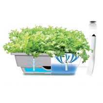 자동급수 베란다텃밭 사각 화분 대형플라스틱 분갈이 긴화분 큰화분 옥상 집에서키우기 급수봉, 흙 1개씩 추가구매시 배송비