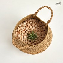 편백향 라탄바구니 편백나무 큐브칩 이오난사 인테리어 화분 커버 바스켓 - 대, 1개