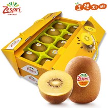 [선물용]제스프리 제주 골드키위 2단 선물세트2.4kg (20입), 단품