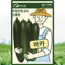 오이씨앗종자 바카오이 (10립) *주렁주렁 오이와 같은 암꽃발생이 높은 다수확 미니오이*, 1개