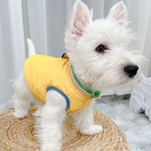 강아지 김장조끼 할머니 꽃무늬 패딩 수면 시골 조끼 아메리칸불리옷 대형견 프렌치불독옷 2개월강아지옷 명품옷 후리스 중형견, B