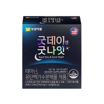 부광약품 굿데이엔굿나잇, 1개, 120정