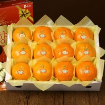 [명절선물] 레드향 선물세트 설 선물 3kg, 1호(15~18과)
