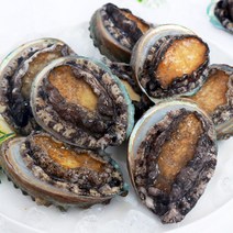 완도 활전복, 1개, 전복 일반형 1kg/16~17미