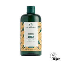 진저 스캘프 케어 샴푸 대용량 400ml