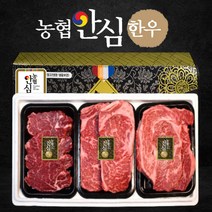 [100% 품질보증제] 투뿔 정품 농협안심한우 구이용 한우 소고기 선물세트 추석 명절 선물세트, 05. 한우 1++ 프리미엄선물세트 6호