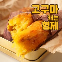 고구마캐는형제 서산 황토 꿀고구마, 1box, 꿀고구마 5kg 중(60~120g)