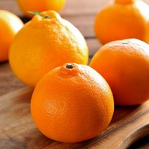 제이블릭 제주 황금향 2kg 3kg 5kg 선물포장 당도보장 농장직송 레드향 카라향 홍매향 홍미향 고당도 15브릭스 선물용 가정용 연말선물 명절선물 설선물 임신 임산부 부모님 선물, 제주 황금향 고급선물용 3kg