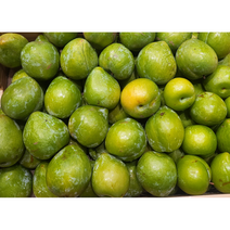 [HOT] 달콤한 초록 자두 영천 켈시 캘시 첼시 자두 청자두, 1kg 특 8~11과, 1개