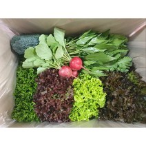 이순례농장)) 