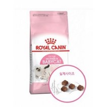 로얄캐닌 고양이 마더&베이비 캣사료 생후 4개월 자묘 어미묘 사료 2kg 4kg, 상세페이지 참조, 상세페이지 참조