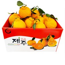 제주 한라봉 -가정용 벌크- 5kg (중) 15~18과/ 제주직배송, 1개