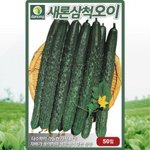 삼척오이 씨앗 오이 씨 종자 50립